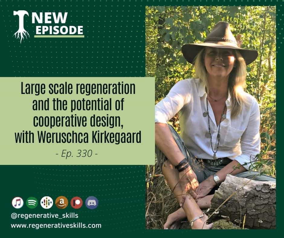 Large scale regeneration and the potential of cooperative design, with Weruschca Kirkegaard